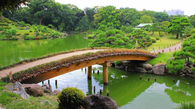 Kiyosumi_Teien_-_Japanese_gardern_4