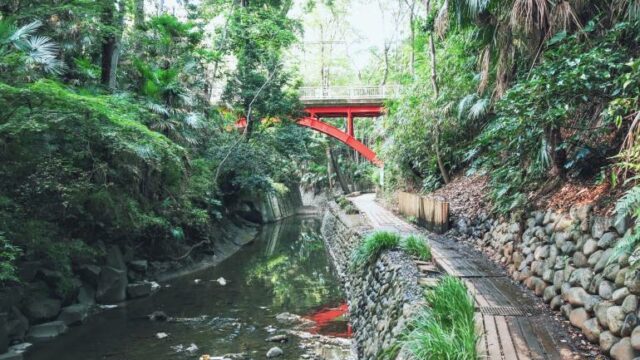Tododroki-Valley